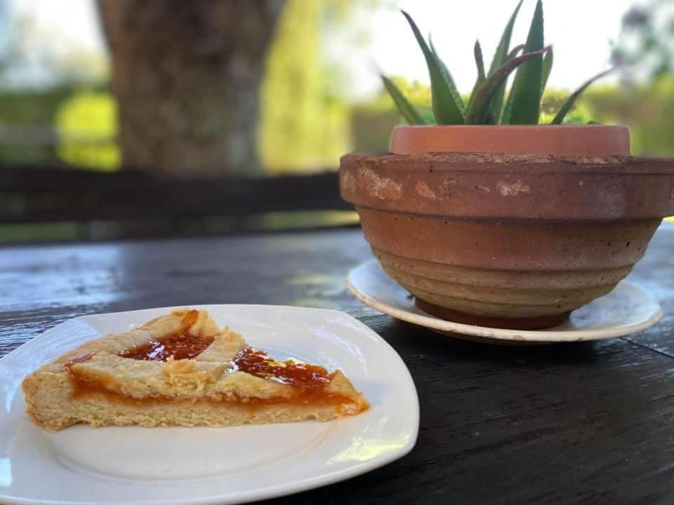 Il Melarancio Bed & Breakfast Pescia Romana Dış mekan fotoğraf