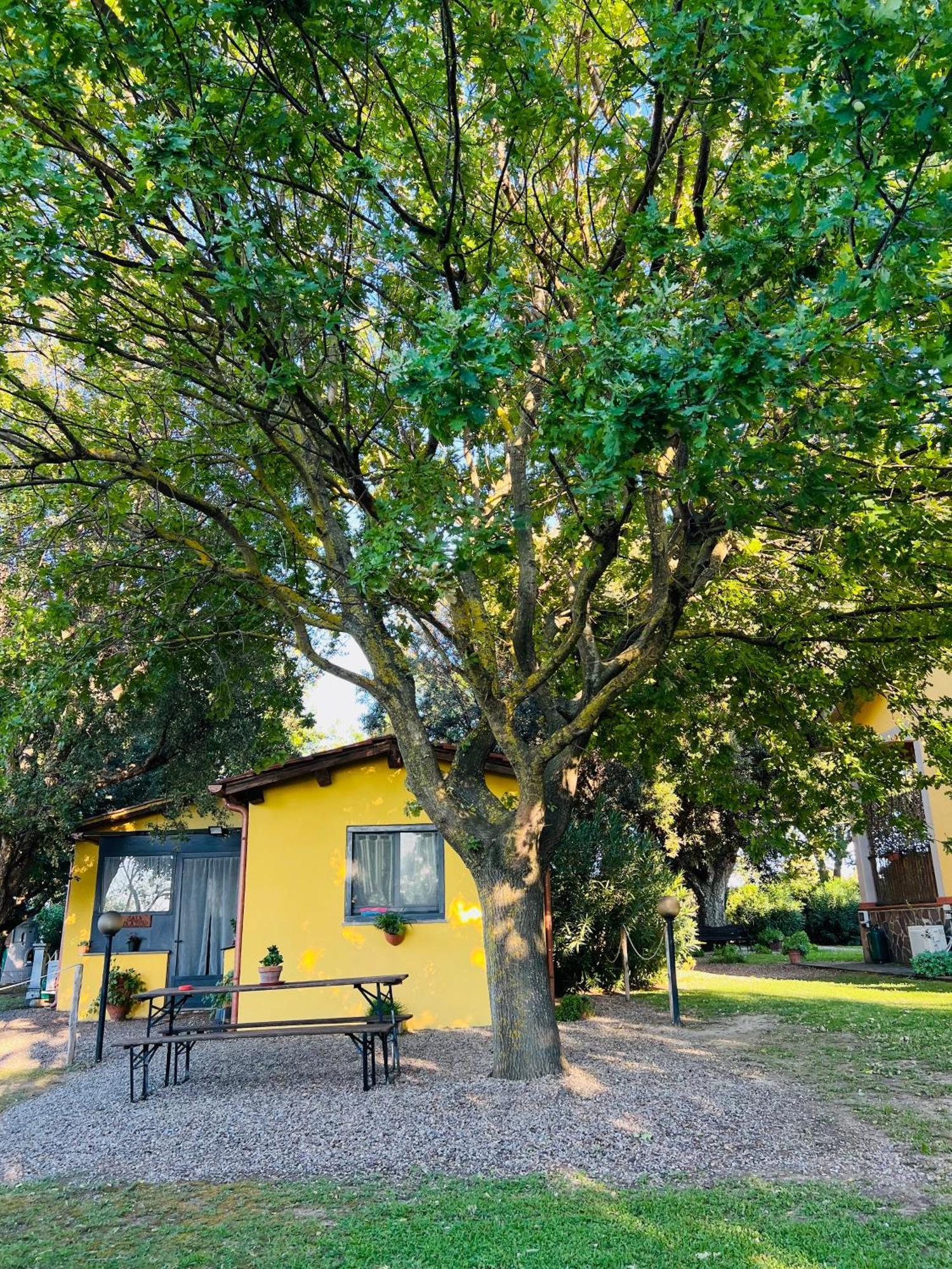 Il Melarancio Bed & Breakfast Pescia Romana Dış mekan fotoğraf